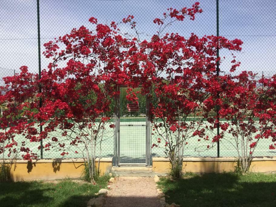 Apartamento Bonalba Mutxamel Exterior foto